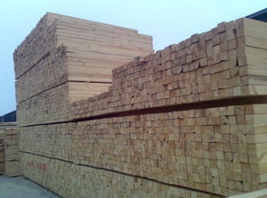 建筑材料销售行业的领航者 一呼百应公司频道的崛起与价值